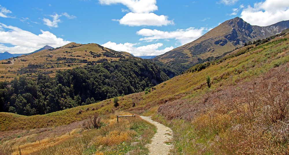 hiking trail, New Zealand