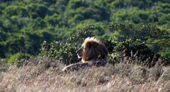 South Africa