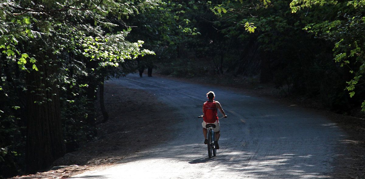 On a bike in Yosemite NP