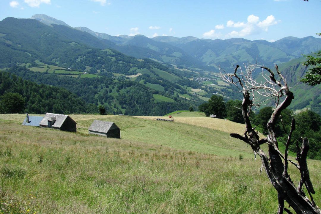 French Basque country