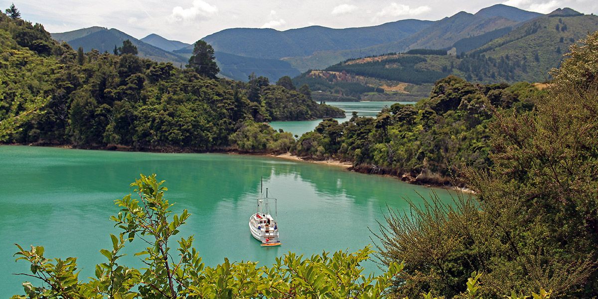 Marlborough Sounds, New Zealand