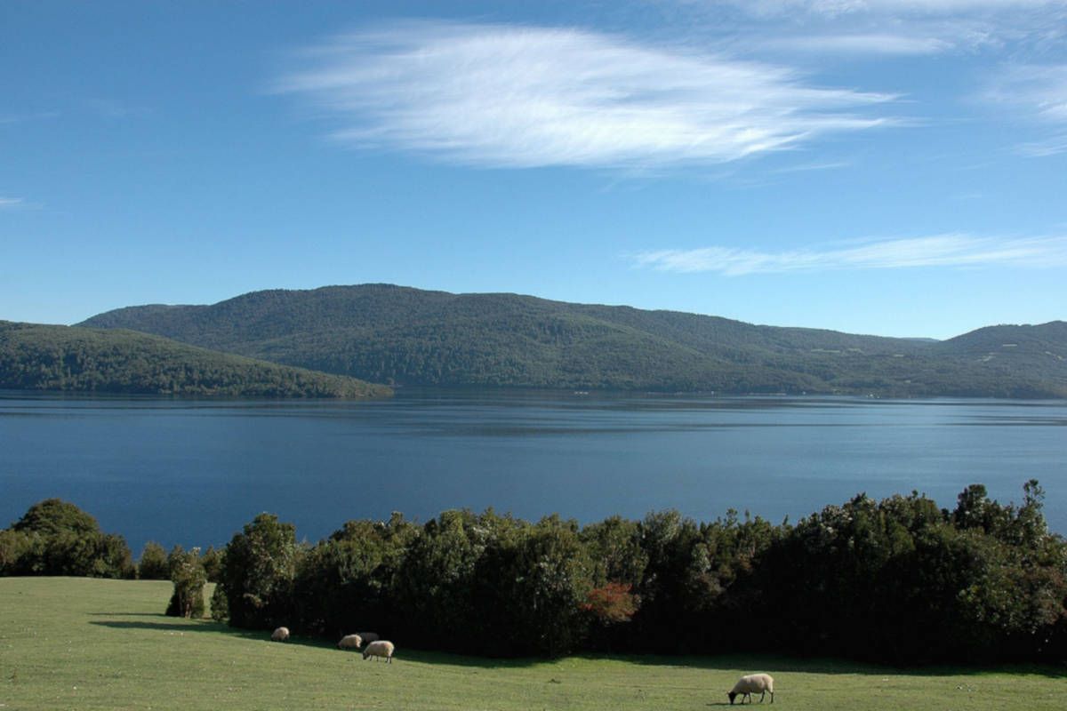 Lago Cucao in Chile, surrounded by green meadows