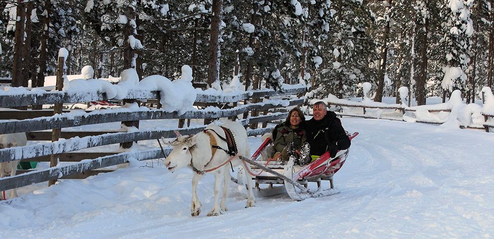 Reindeer sled in Finnish Lapland