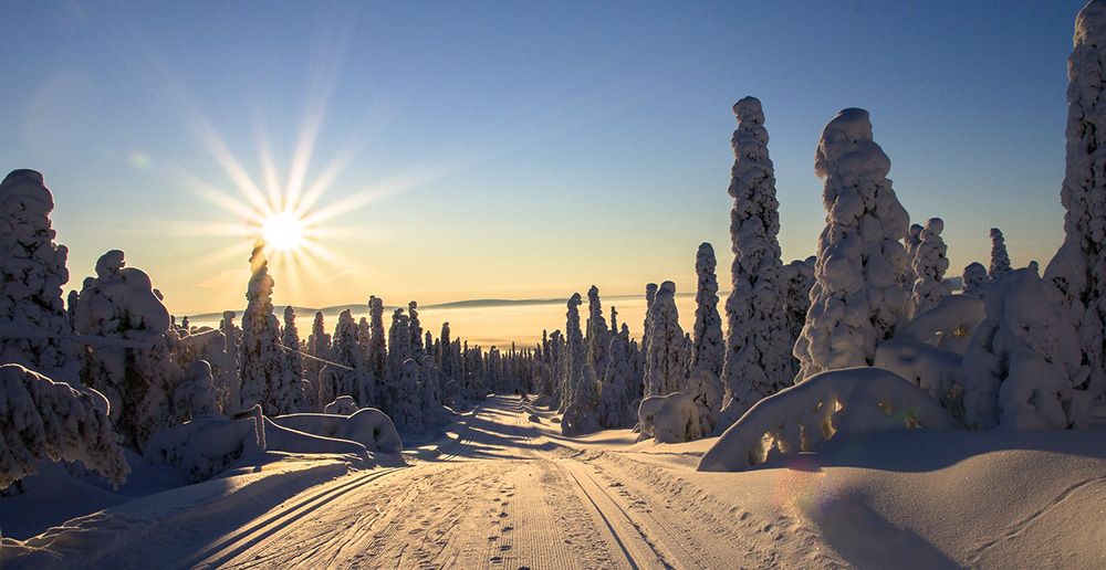 Winter wonderland in Finnish Lapland