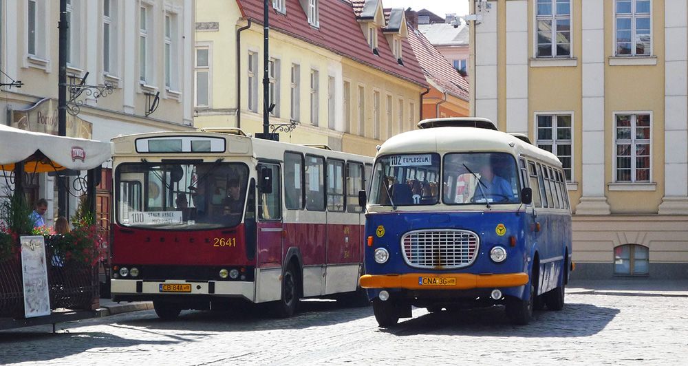 Busses in Poland