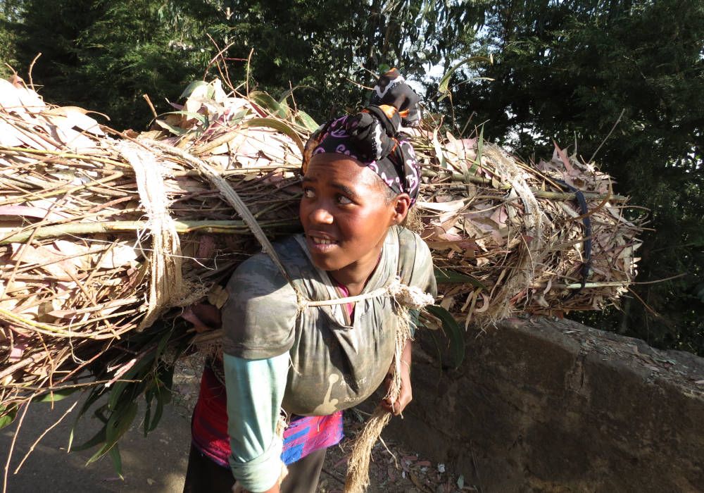 Female wood collector in Addis Abeba, Ethiopia