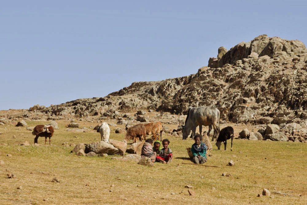 Herdsman's family at Lalibela, Ethiopia