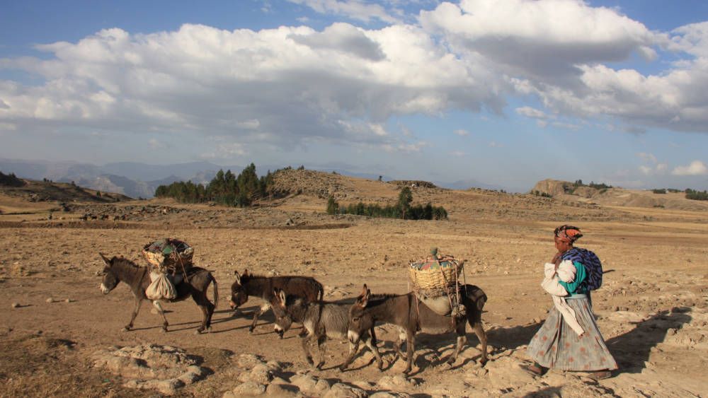 Herdsman's wife at Lalibela, Ethiopia