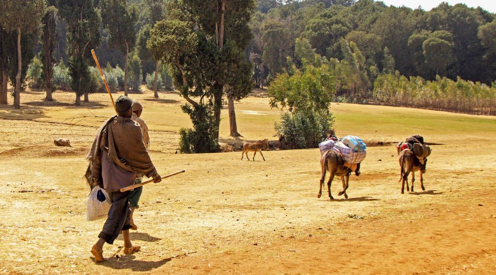 Country side of Lalibela