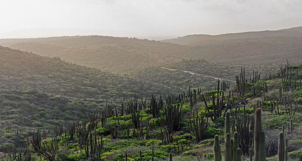 Aruba, Dutch Caribbean