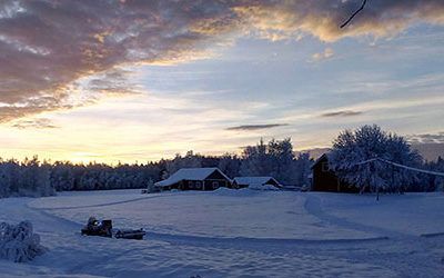 A holiday to Lapland in winter