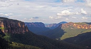 Enjoying nature in the Blue Mountains