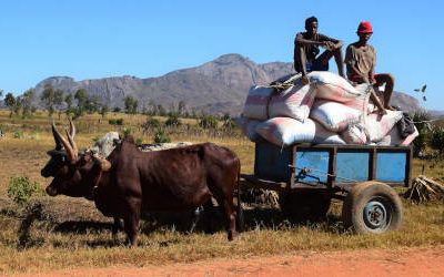 Tribal visits in the surroundings of Ambalavao