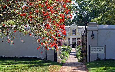 The wine region around Stellenbosch