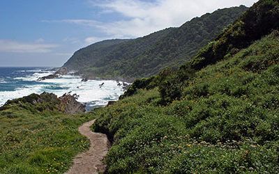 Hiking in the Tsitsikamma National Park