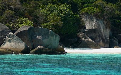 Diving near the Similan Islands and Richelieu Rock