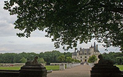 Castle and wine route along the Loire