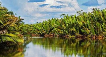 Kalimantan
