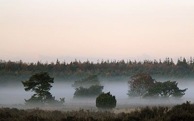 Hoge Veluwe National Park