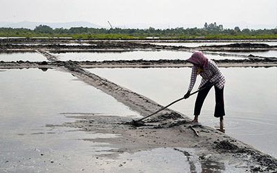 The Kampot region