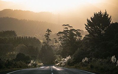 The Coromandel