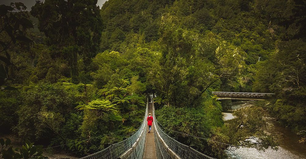 Kaitoke Regional Park, North Island, New Zealand