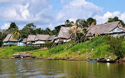 The tropical rainforest at Iquitos