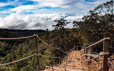 Climbing Mount Kinabalu