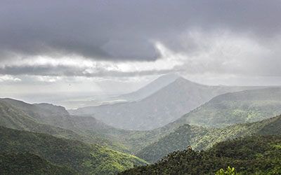 Walking in the Black River Gorges National Park