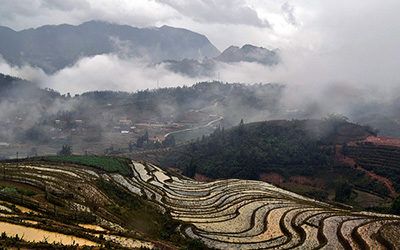 Trekking through the rice fields of Sapa