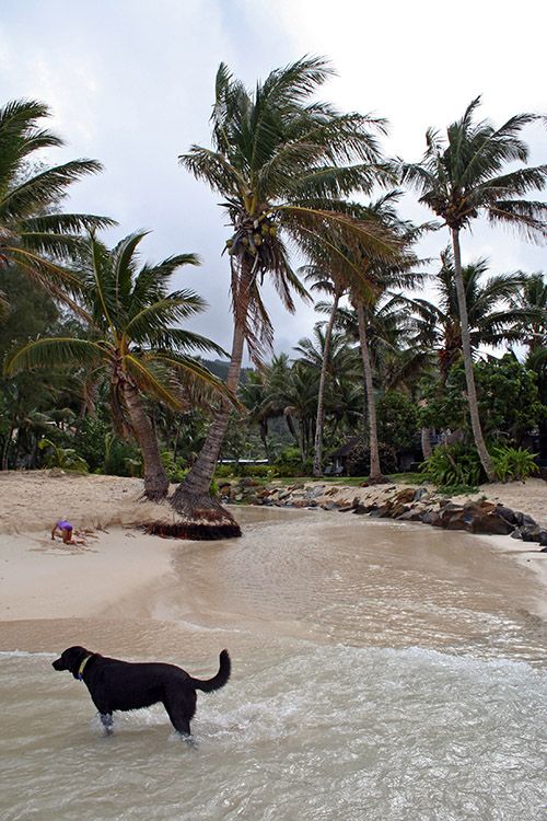 Cook Islands