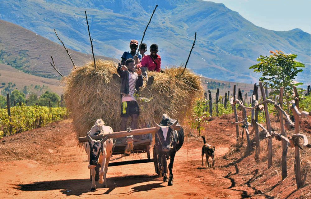 Ambalavao, Madagascar