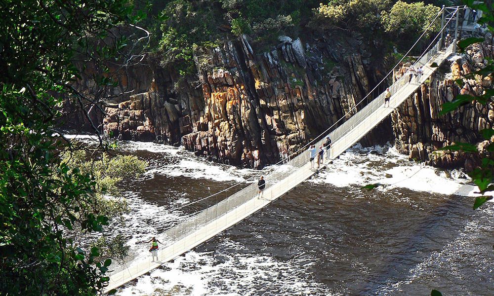 Bridge in Tsitsikamma National Park, South Africa