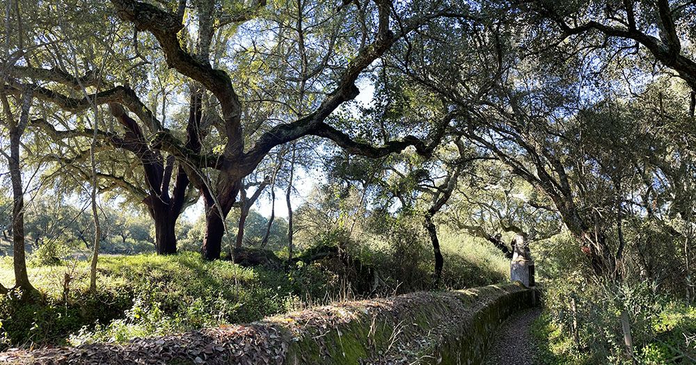 Aquaduct in the Alentejo