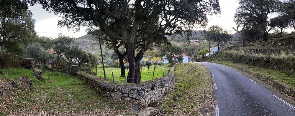 Road in the Alentejo