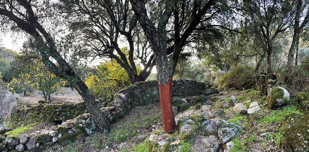 hiking in the Alentejo