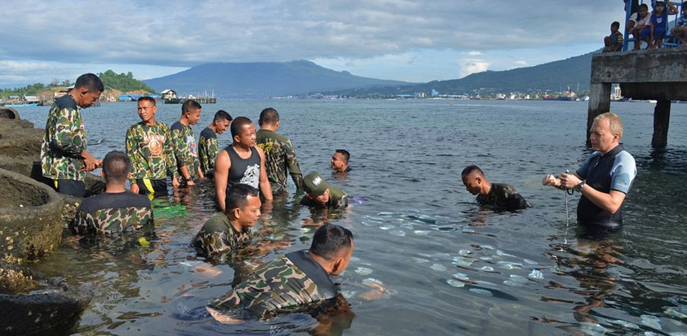 coral garden Sulawesi