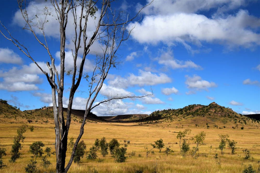 silver-travellers-madagascar-highlight-isalo-savanna3-mobile Savanna