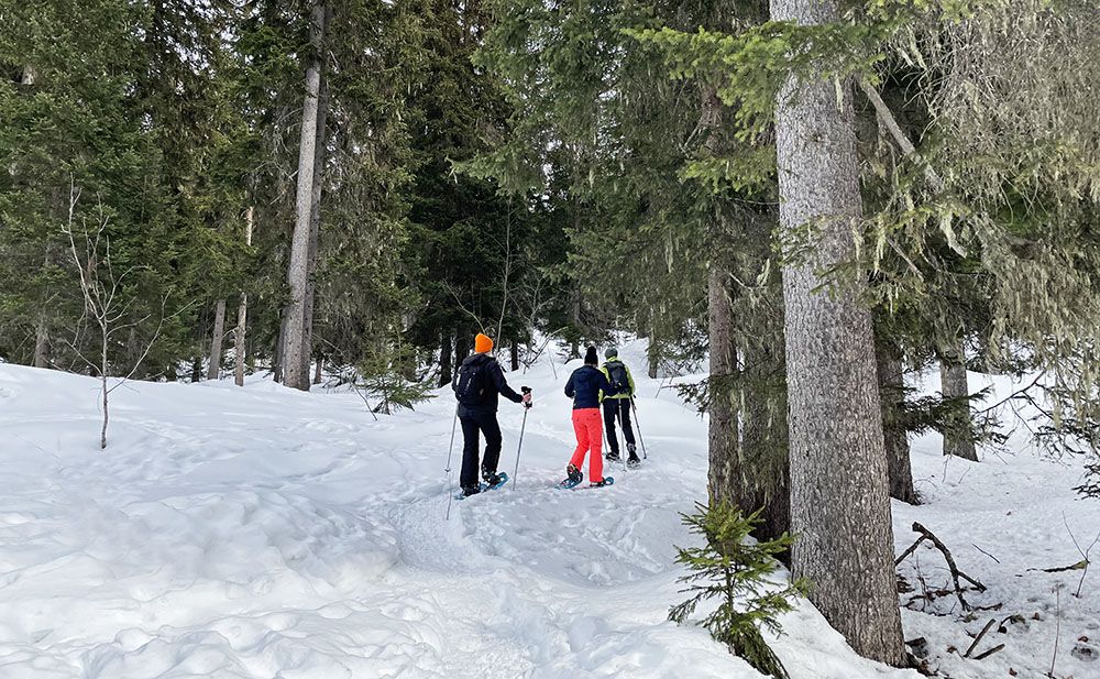 Snowshoeing