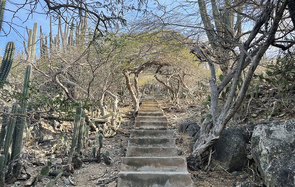 Climbing the Hooiberg in Aruba