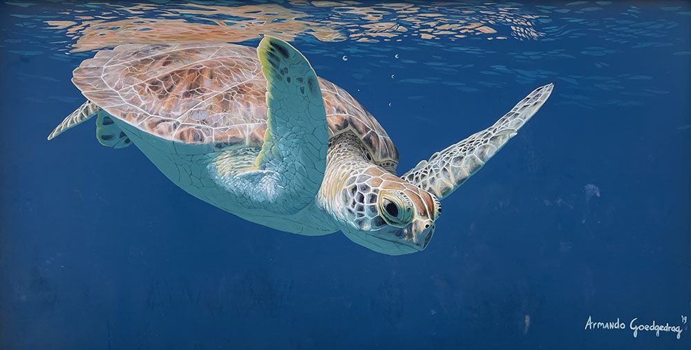 silver-travellers-dutch-caribbean-aruba-highlight-san-nicolas-turtle-mobile Turtle