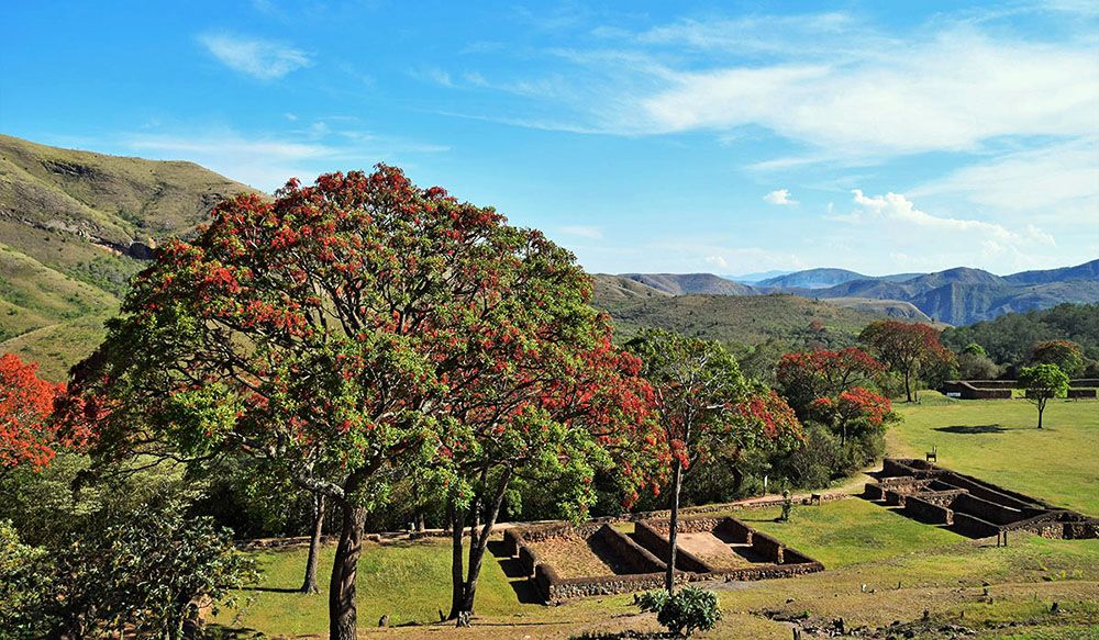 Ruins at El Fuerte