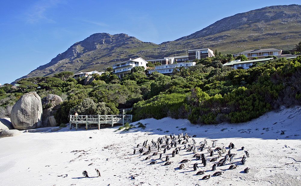 Boulders Beach