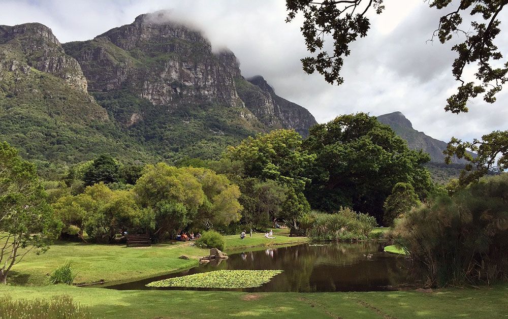 Kirstenbosch