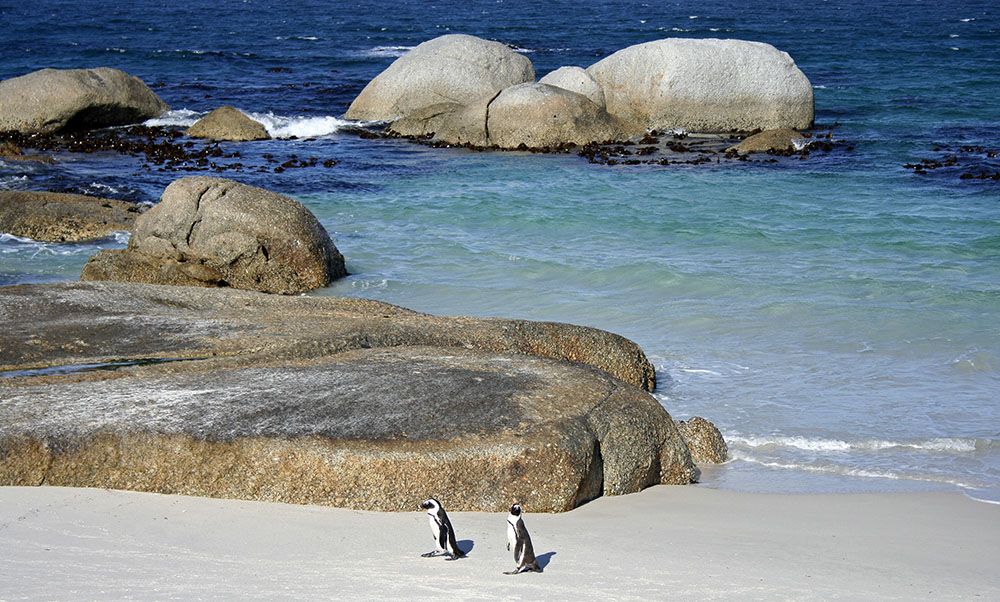 Boulders Beach