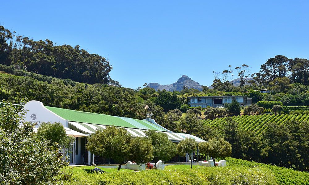 silver-travellers-south-africa-highlight-outside-cape-town-constantia-mobile Constantia