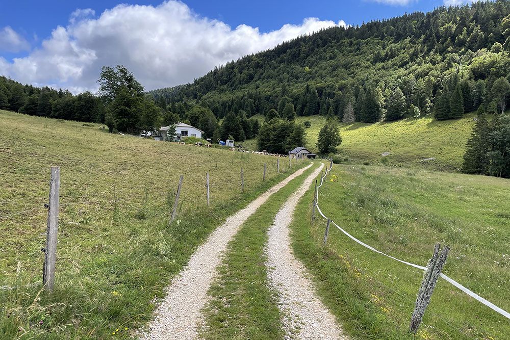 Farm in the French Jura