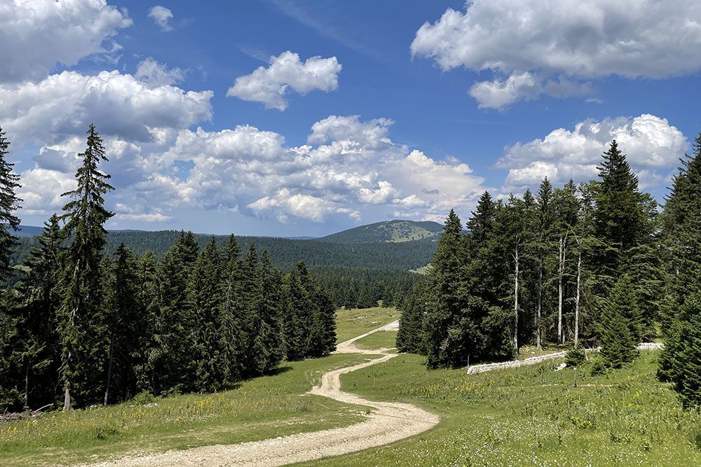 Hiking in the mountains