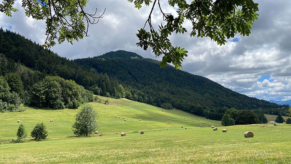 Jura Mountains