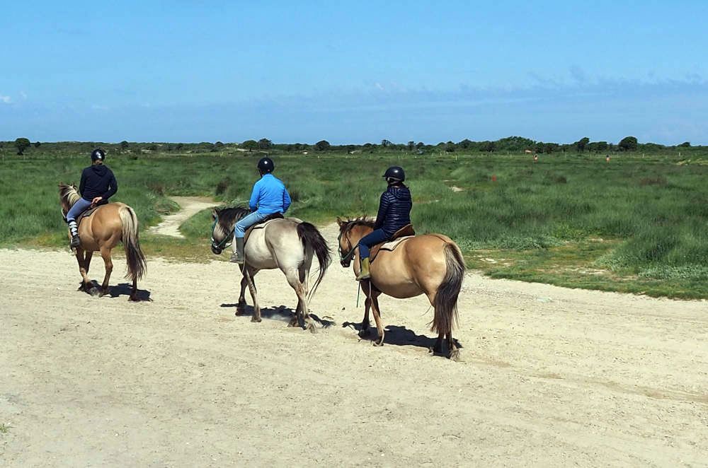 Horseback riding